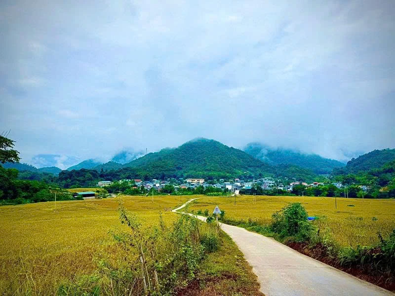 Trồng cây, nuôi con đặc sản: Hướng đi mới ở Quang Chiểu