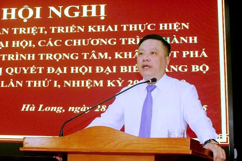 Trao Huy hiệu Đảng và triển khai thực hiện Nghị quyết Đại hội đại biểu Đảng bộ xã Hà Long
