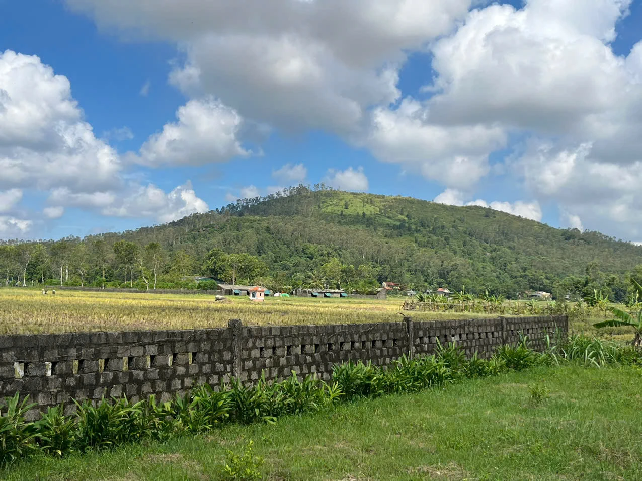 Những nền văn hóa cổ ở xứ Thanh - Hội tụ và tỏa sáng: Di chỉ Núi Đọ - Từ “dấu chân” loài người đến sự phát triển xã hội