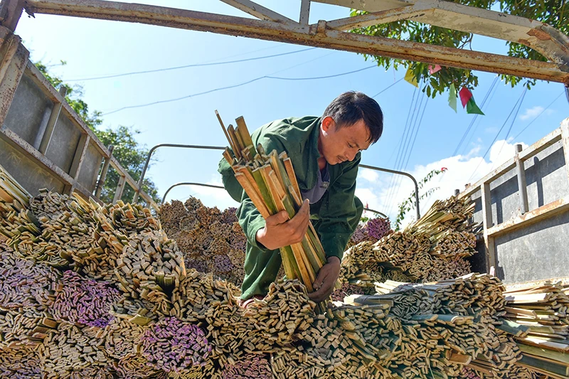 Giữ nghề giữa lưng chừng núi