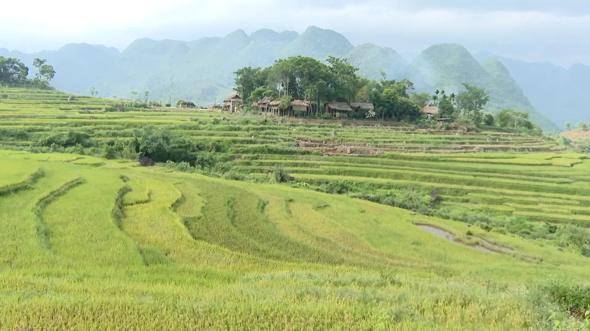 Văn hóa dân tộc thiểu số trong dòng chảy chuyển đổi số