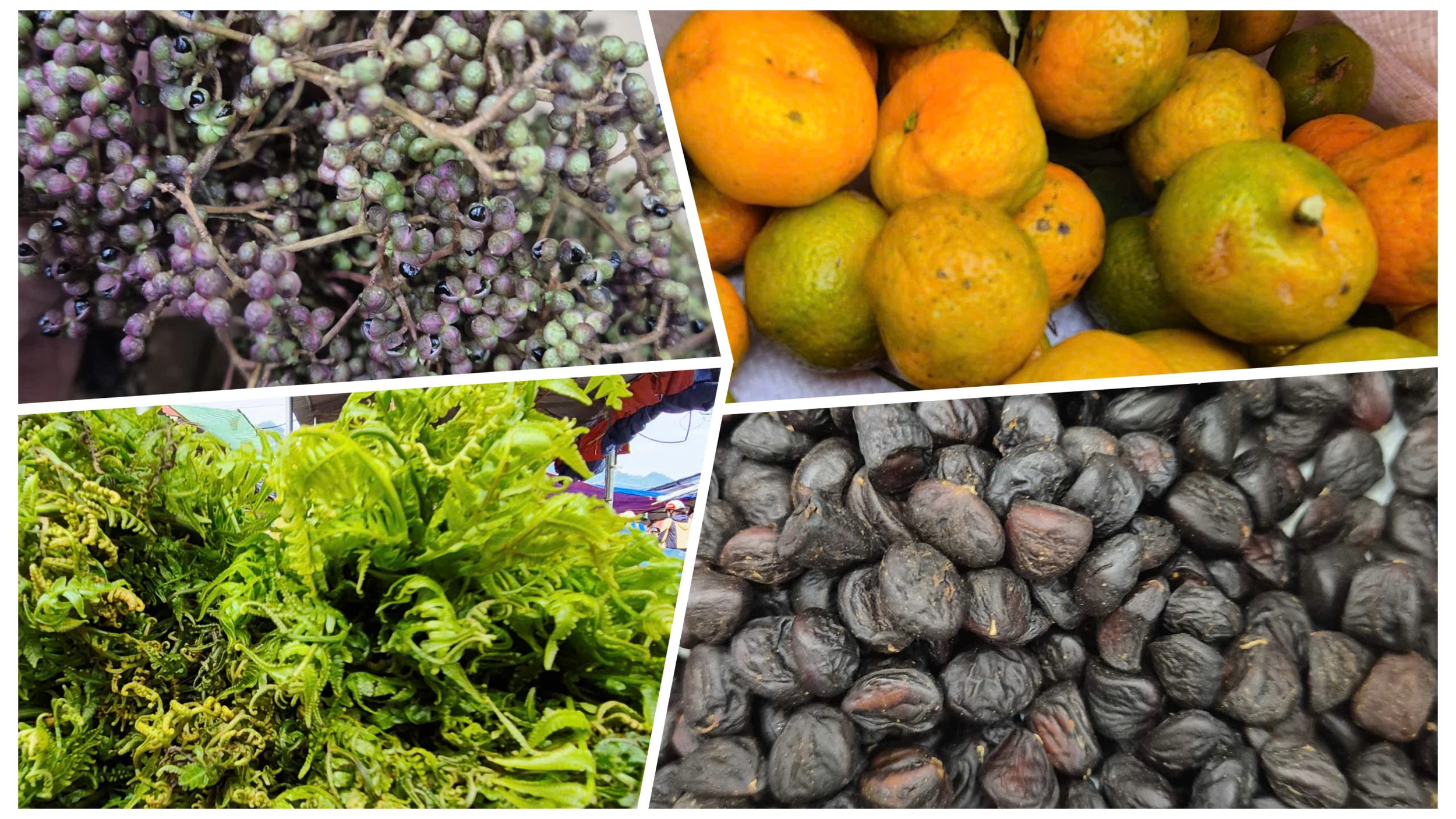 Rủ nhau đi chợ Phố Đoàn