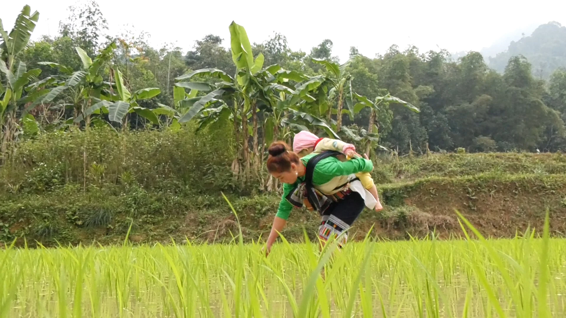 Lời ru nơi xứ Mường