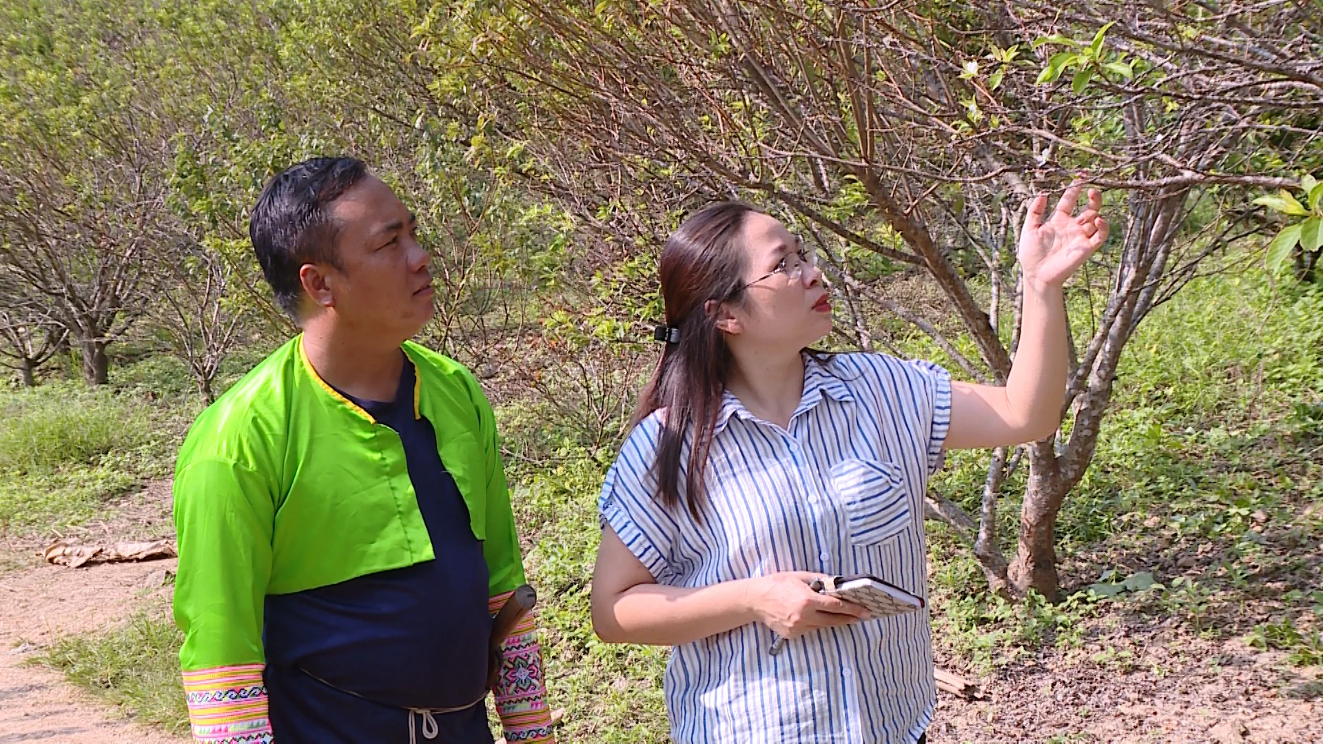 Viết tiếp câu chuyện làm giàu của người Mông