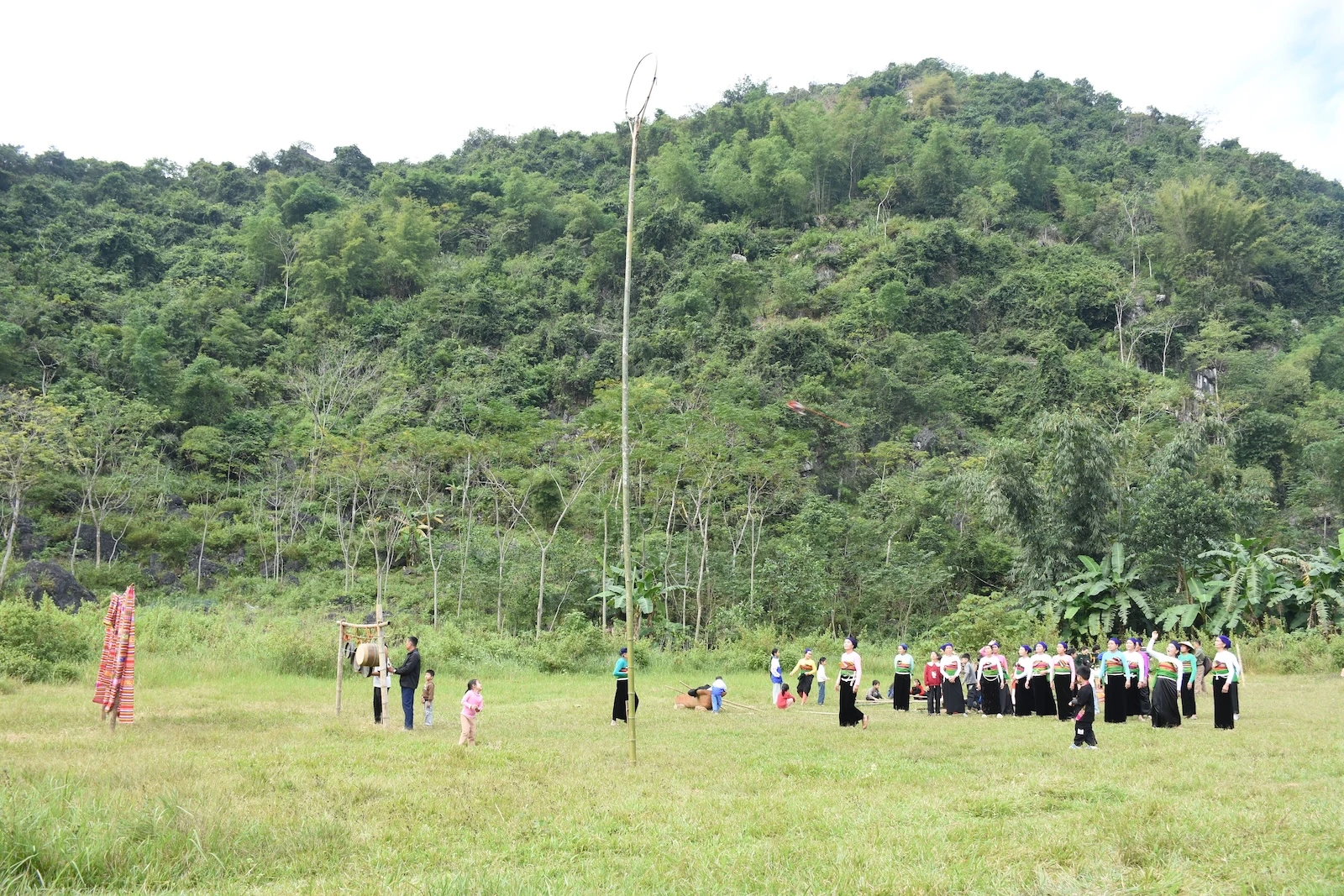 Theo quả còn bay lên trời Pù Luông