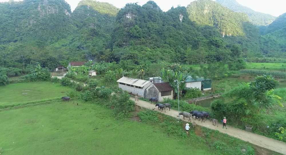 Người ở lại “làng phong” - Bài cuối: “Đất chết” hồi sinh