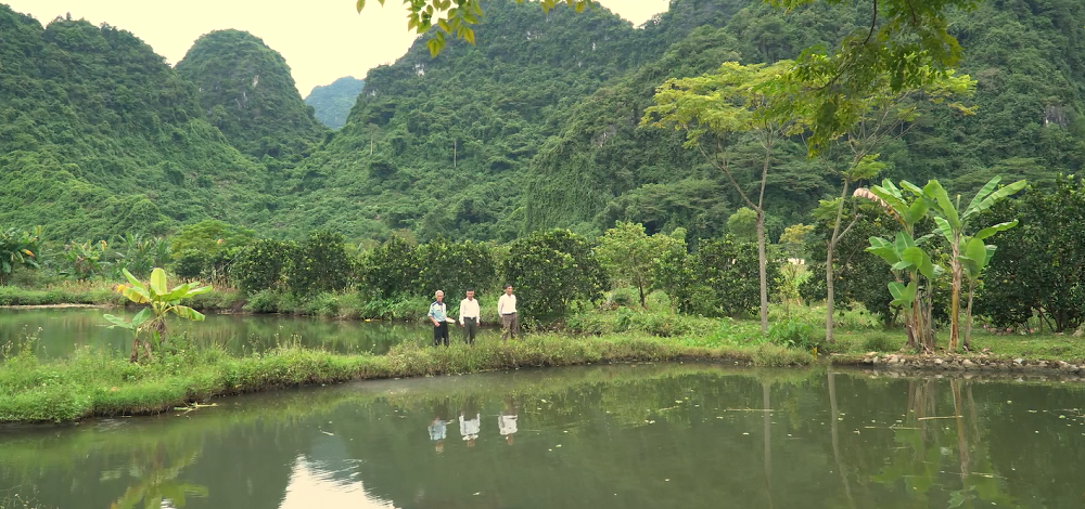 Người ở lại “làng phong” - Bài cuối: “Đất chết” hồi sinh