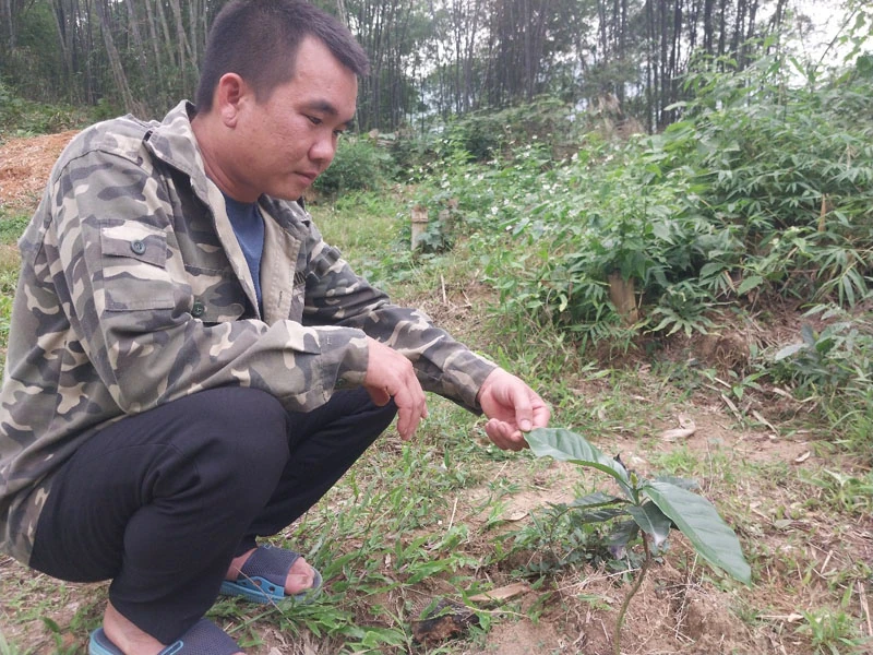 Trên đất Thiên Phủ (Bài 2): Khát vọng...