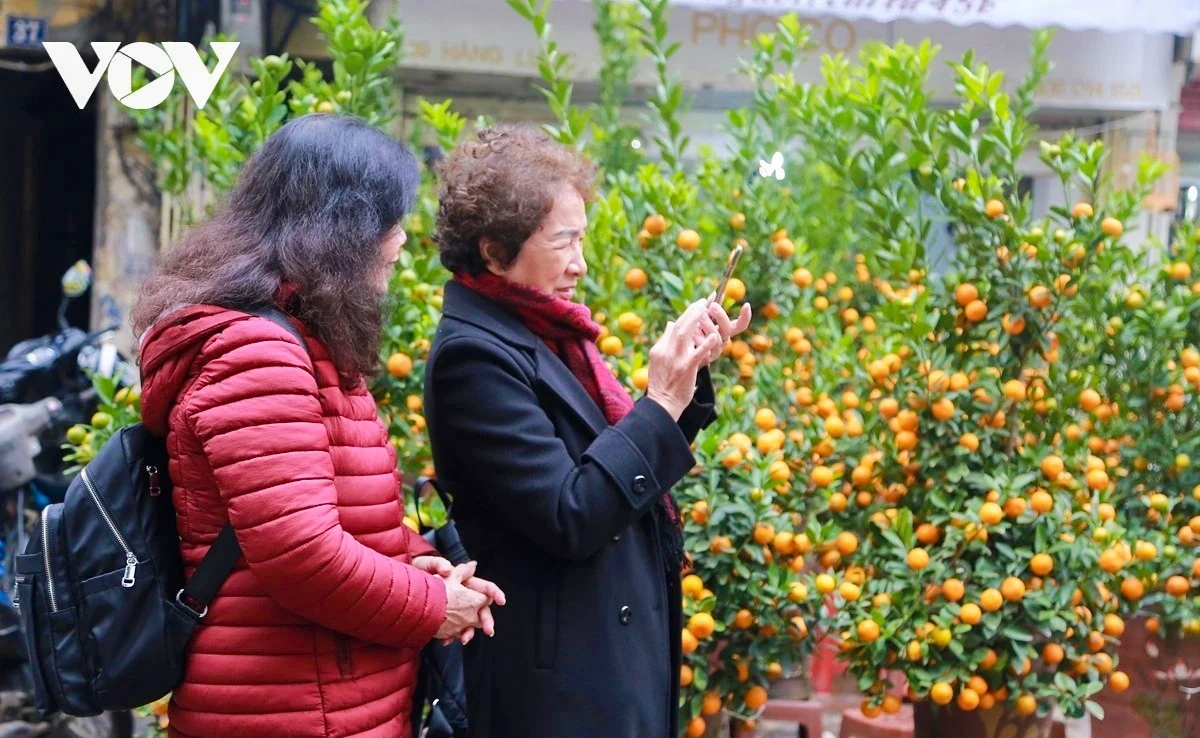 Miền Bắc có thể xuất hiện rét đậm, rét hại dịp Tết Nguyên đán 2026