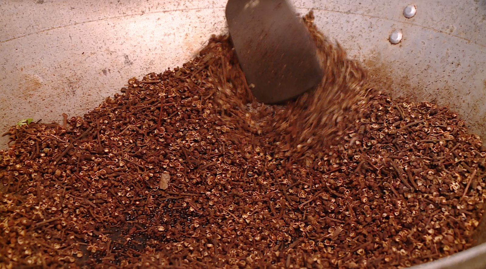 “Phù thủy” hương vị vùng cao