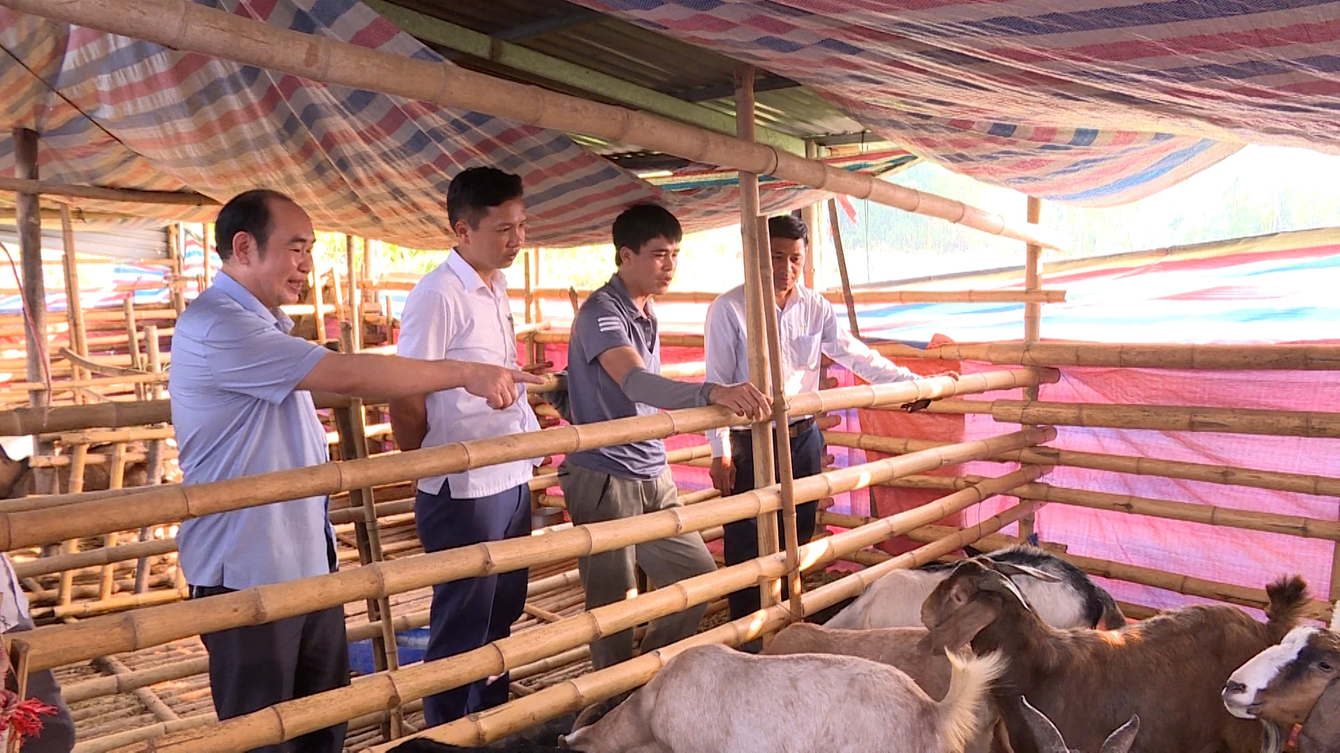 Chàng trai dân tộc Mường làm kinh tế giỏi