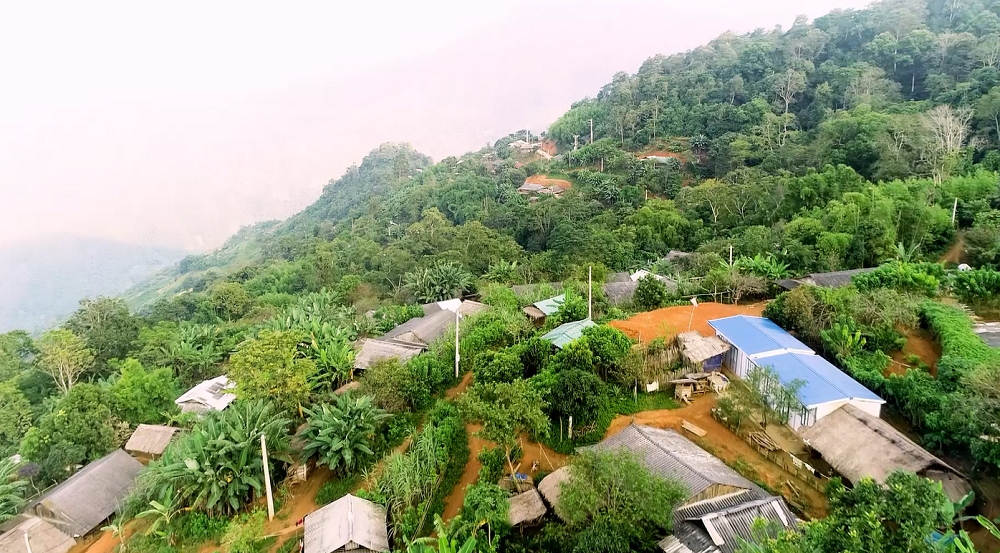 Bông hoa của “bản đẻ ”