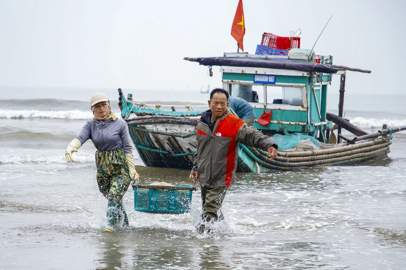 Mùa ruốc biển rộn ràng ở xứ Thanh