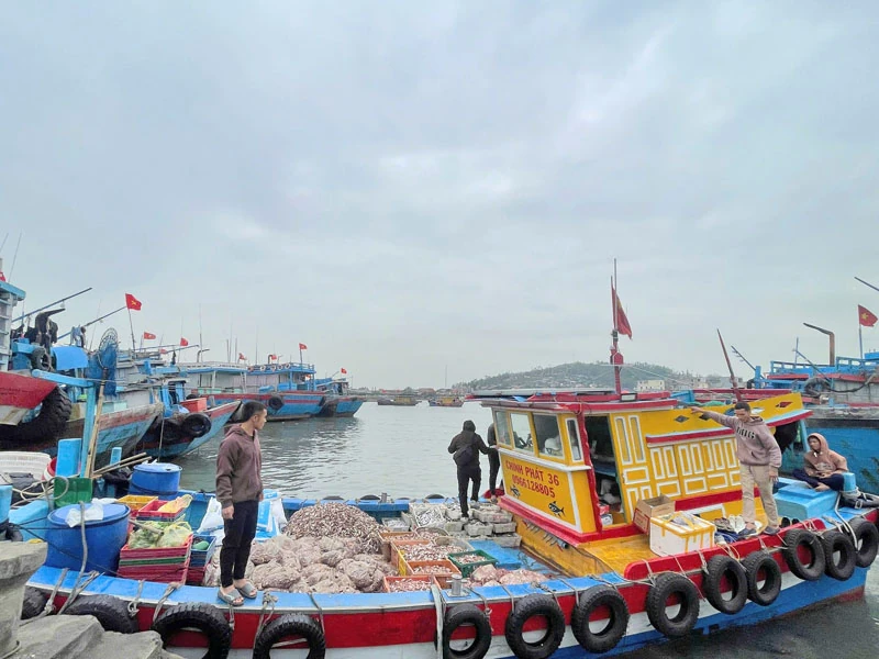 Đầu năm nơi cửa biển Lạch Bạng