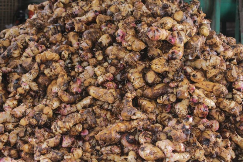 Rục rịch làng nghề