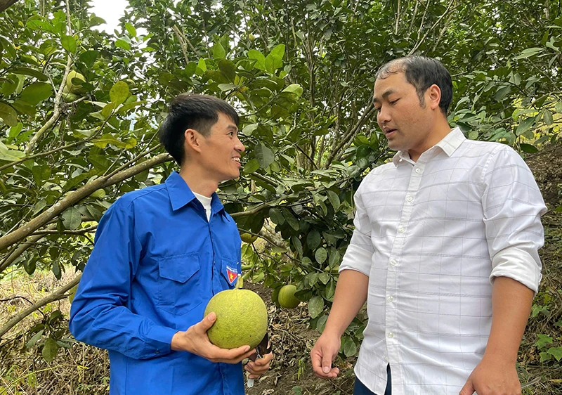 Mùa xuân theo Đảng (Bài 1): Đảng trong trái tim người trẻ