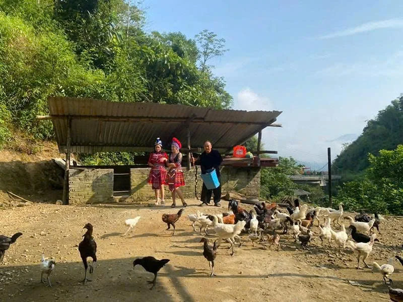 Nâng tầm nông sản địa phương bằng thương hiệu OCOP