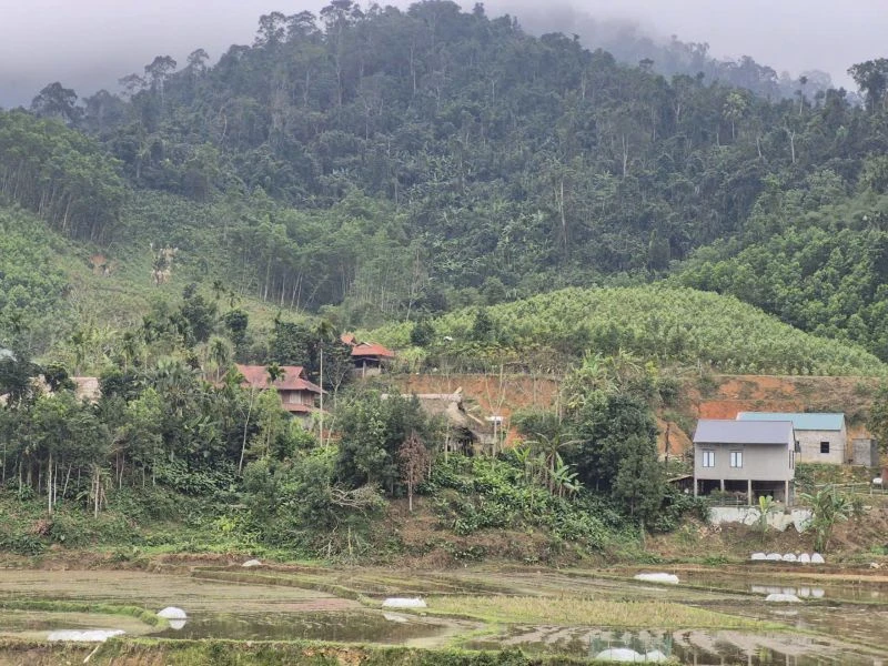 Đẩy nhanh dự án giao thông kết nối vùng lũ Yên Nhân