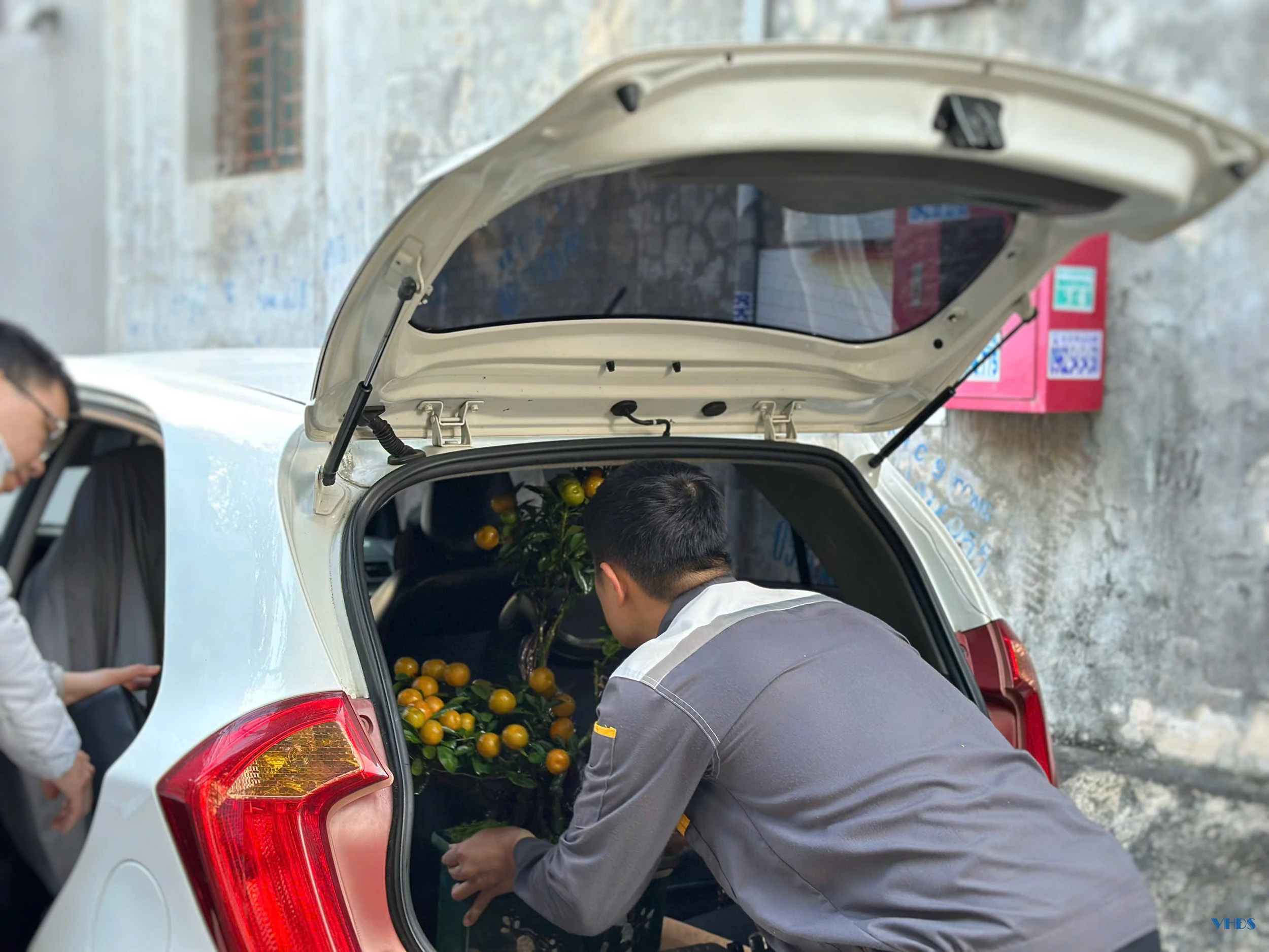 Quất bonsai - Thú chơi Tết của người sành