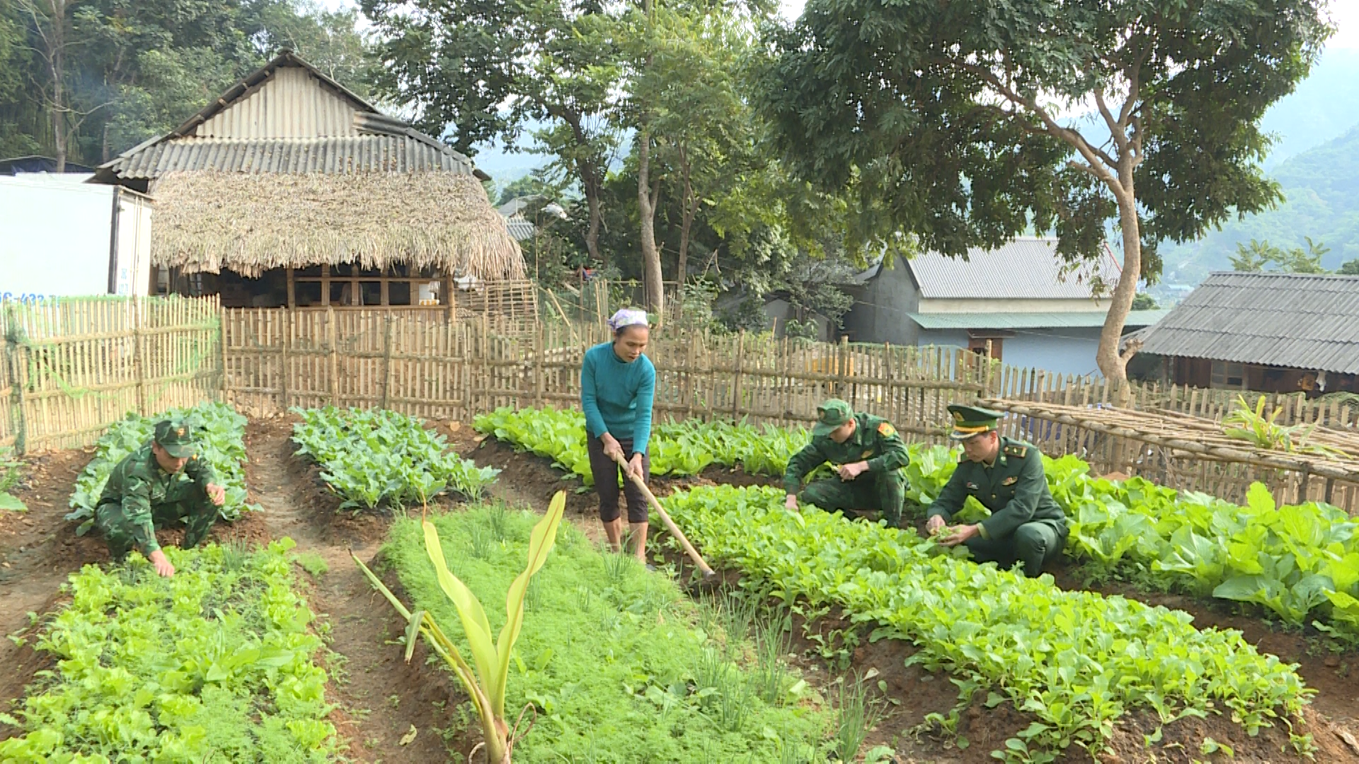 Xuân về Chiềng Căm
