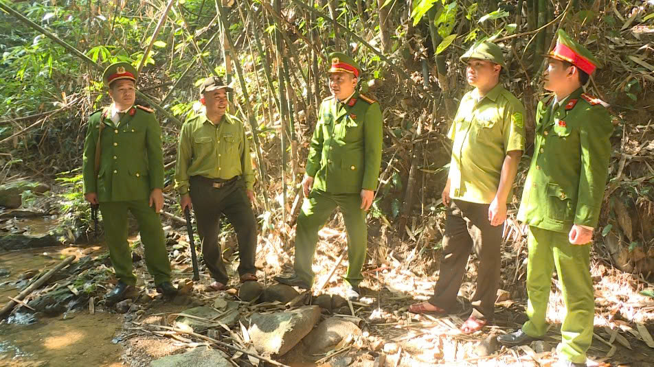 Giữ bình yên mùa