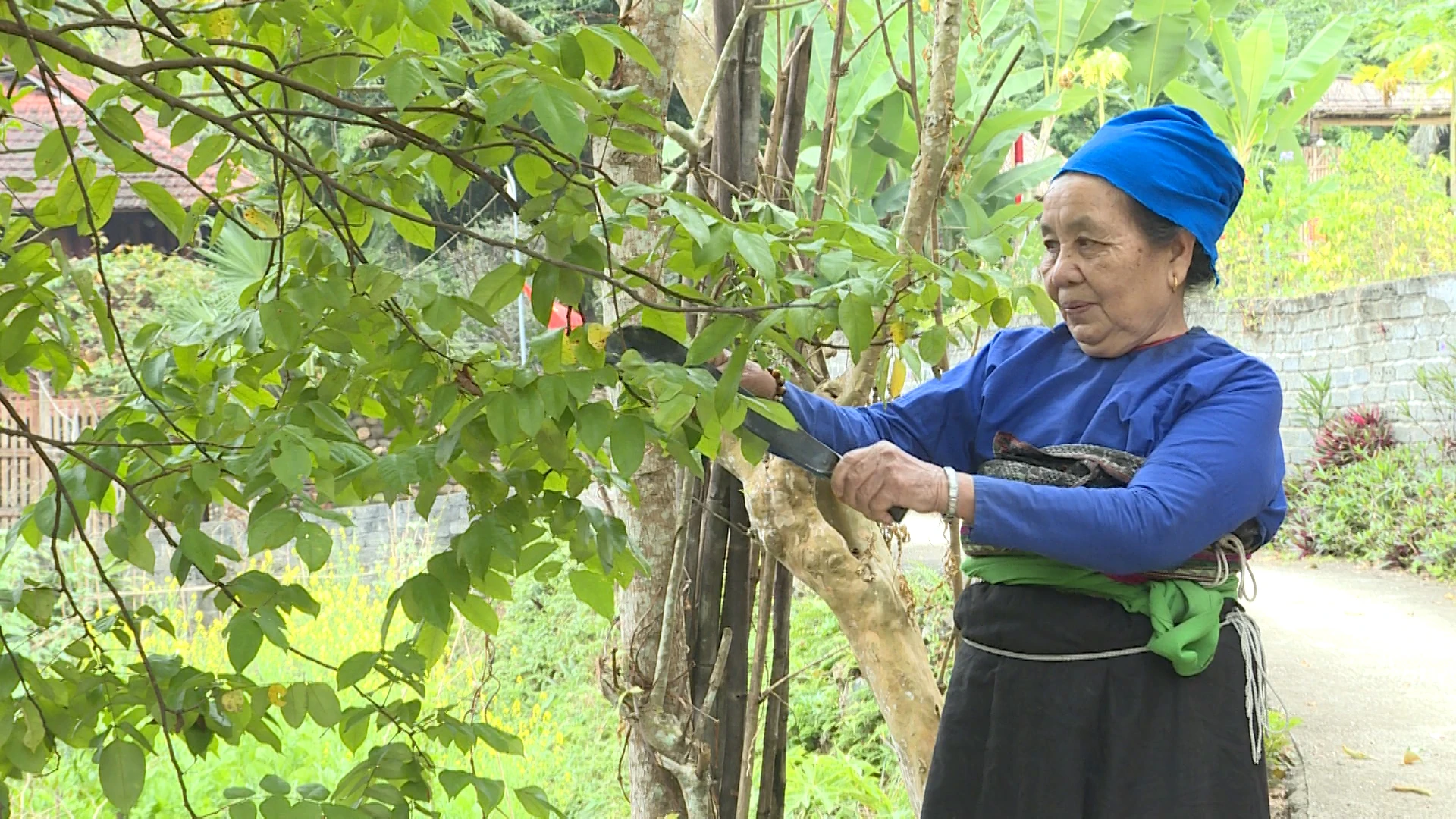 Đồng bào Thái và tục gội đầu ngày cuối năm