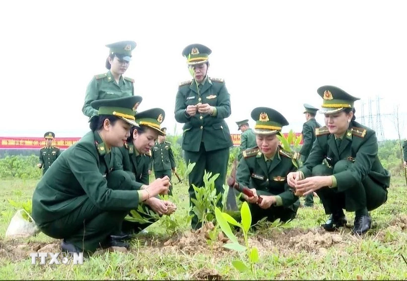Tết trồng cây: Vun đắp mầm sống xanh, làm cho đất nước càng ngày càng Xuân