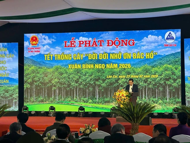 Tết trồng cây: Vun đắp mầm sống xanh, làm cho đất nước càng ngày càng Xuân