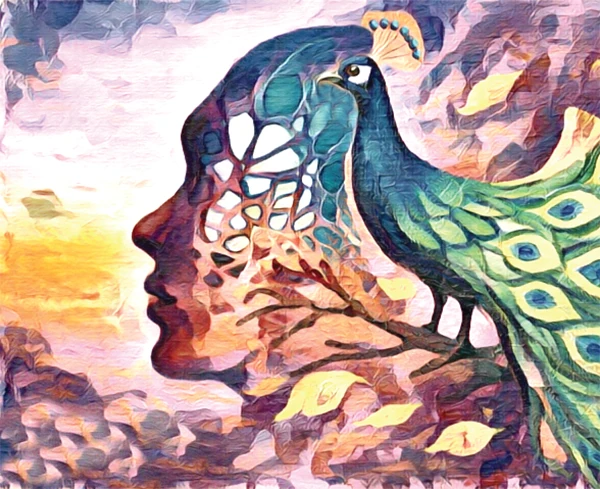 Thành công đến từ kỷ luật