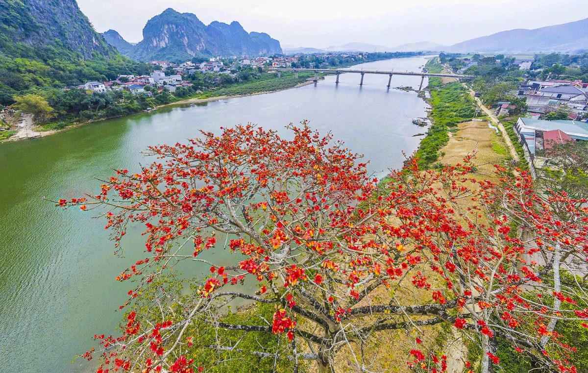 Sắc hoa gạo Cửa Hà - “thắp lửa” bên dòng sông Mã