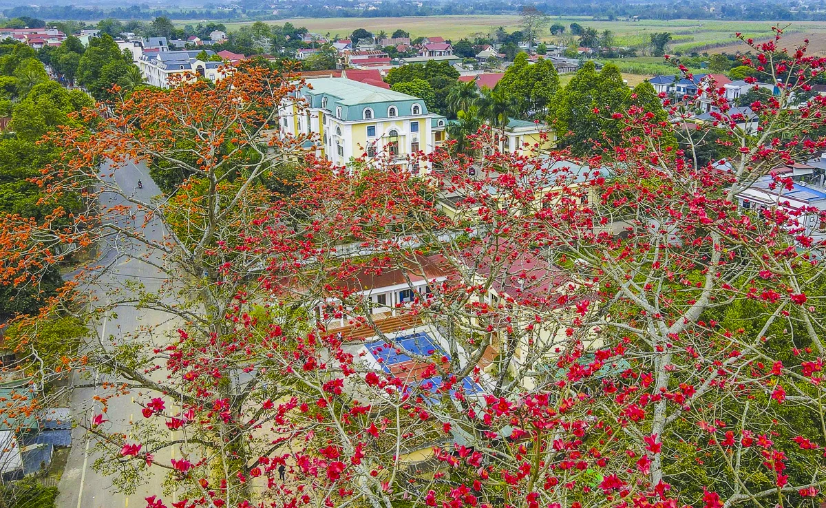 Sắc hoa gạo Cửa Hà - “thắp lửa” bên dòng sông Mã