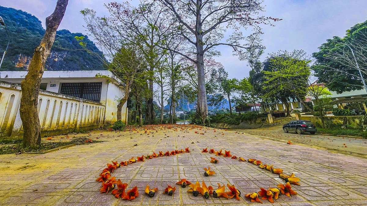 Sắc hoa gạo Cửa Hà - “thắp lửa” bên dòng sông Mã