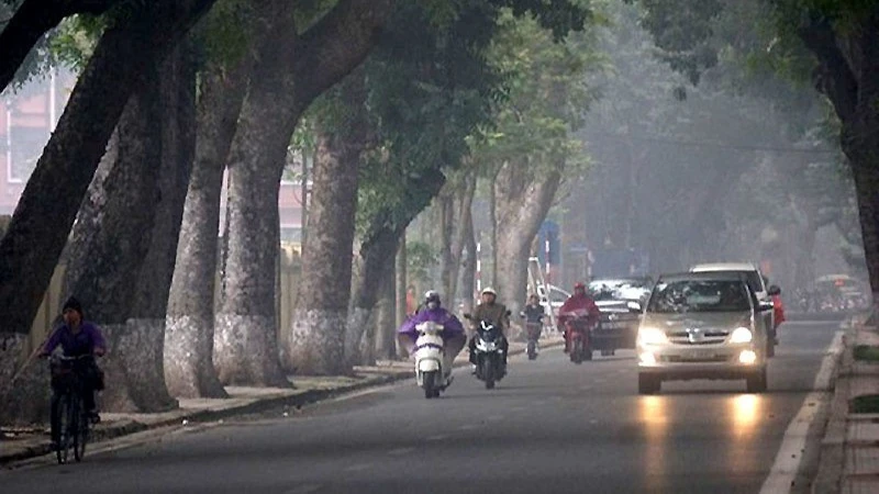 Thời tiết ngày 16/3: Nhiều khu vực trên cả nước có mưa nhỏ, Bắc Bộ và Bắc Trung Bộ có sương mù, rét về đêm và sáng