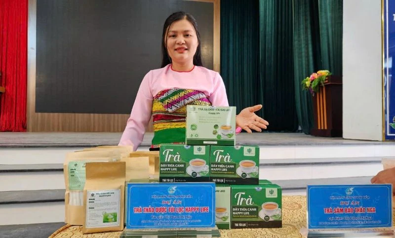 Khát vọng thanh xuân (Bài 8): Đóa hoa bản Mường nâng tầm dược liệu quê hương