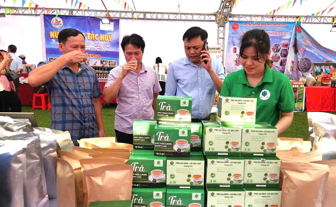 Khát vọng thanh xuân (Bài 8): Đóa hoa bản Mường nâng tầm dược liệu quê hương