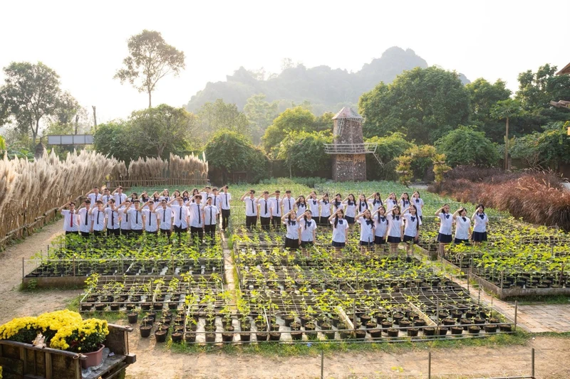 Hàm Rồng hôm nay, niềm tự hào còn mãi (Bài 3): Từ “tọa độ lửa” đến không gian du lịch