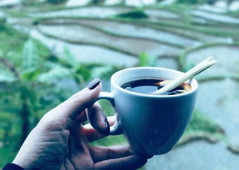 Du lịch “không lịch trình”