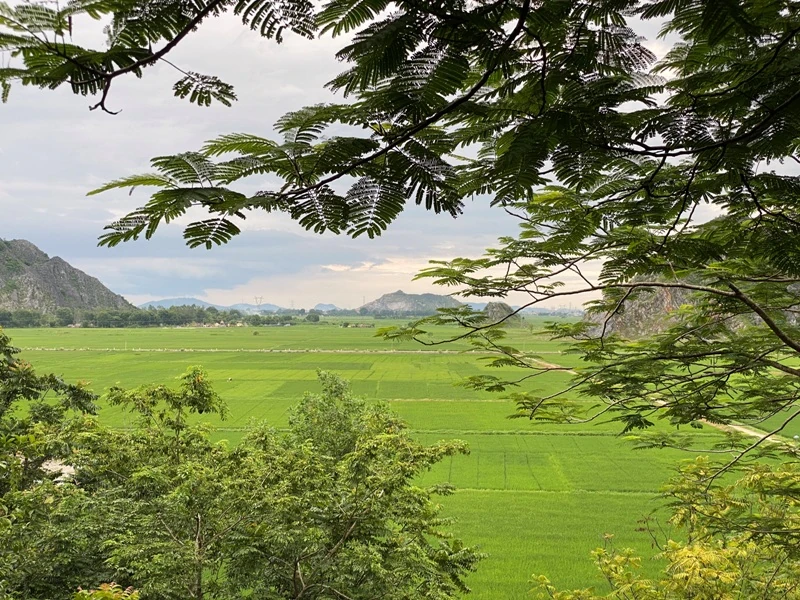 Trên cánh đồng làng