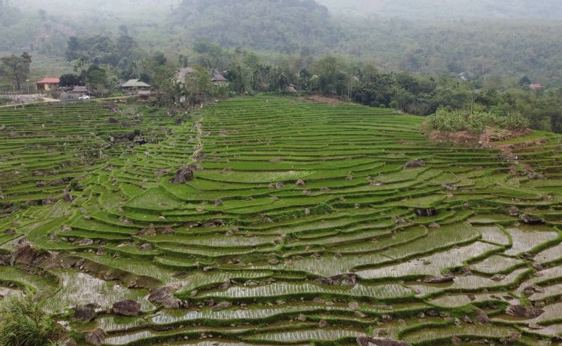 Rực rỡ sắc màu thổ cẩm Piềng Pheo