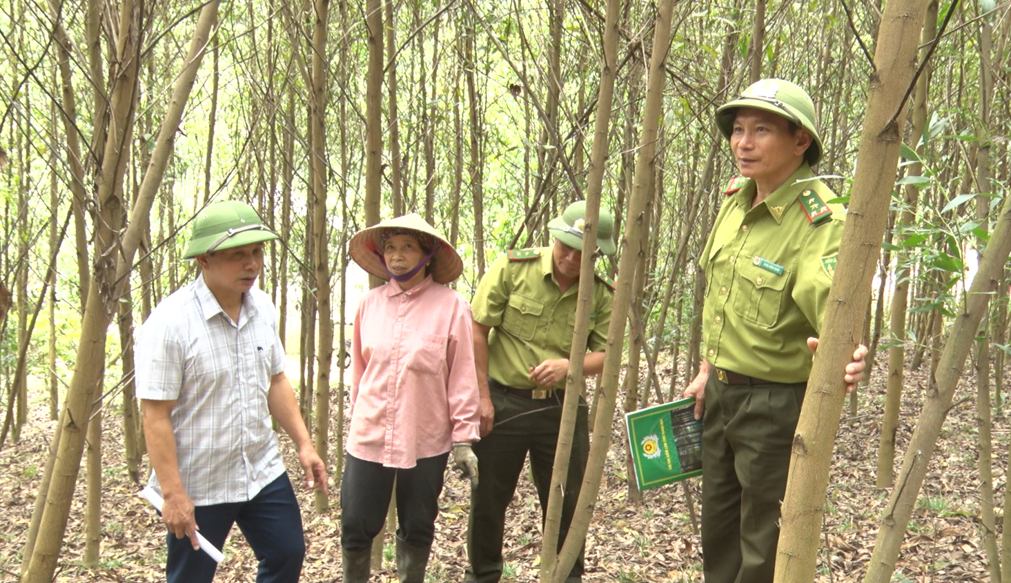 Liên kết sản xuất - Hướng đi bền vững của rừng Thanh Hóa
