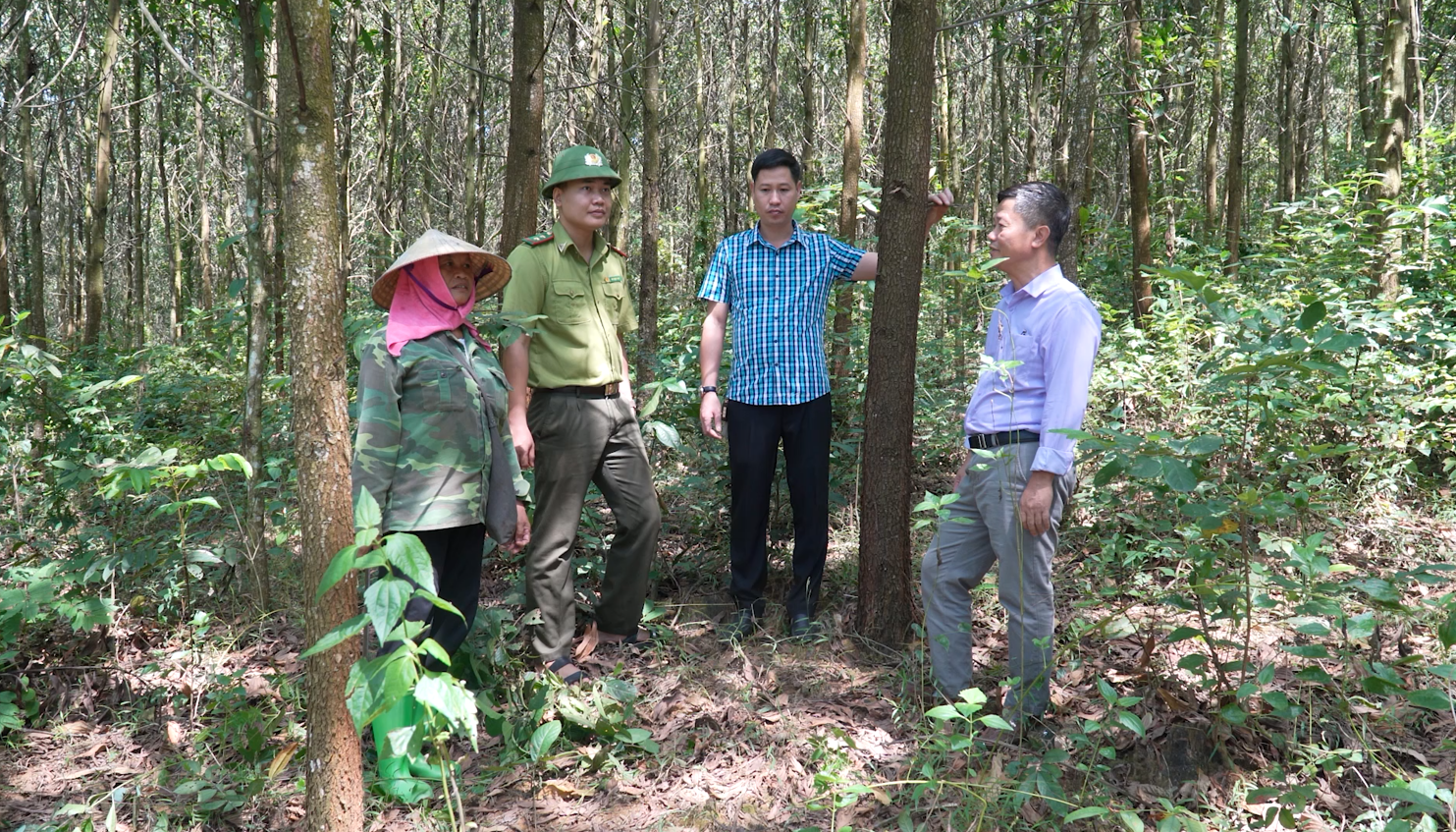 Liên kết sản xuất - Hướng đi bền vững của rừng Thanh Hóa