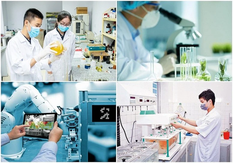 Công nhận 57 sáng kiến, đề tài nghiên cứu khoa học có phạm vi ảnh hưởng, hiệu quả áp dụng cấp tỉnh năm 2026