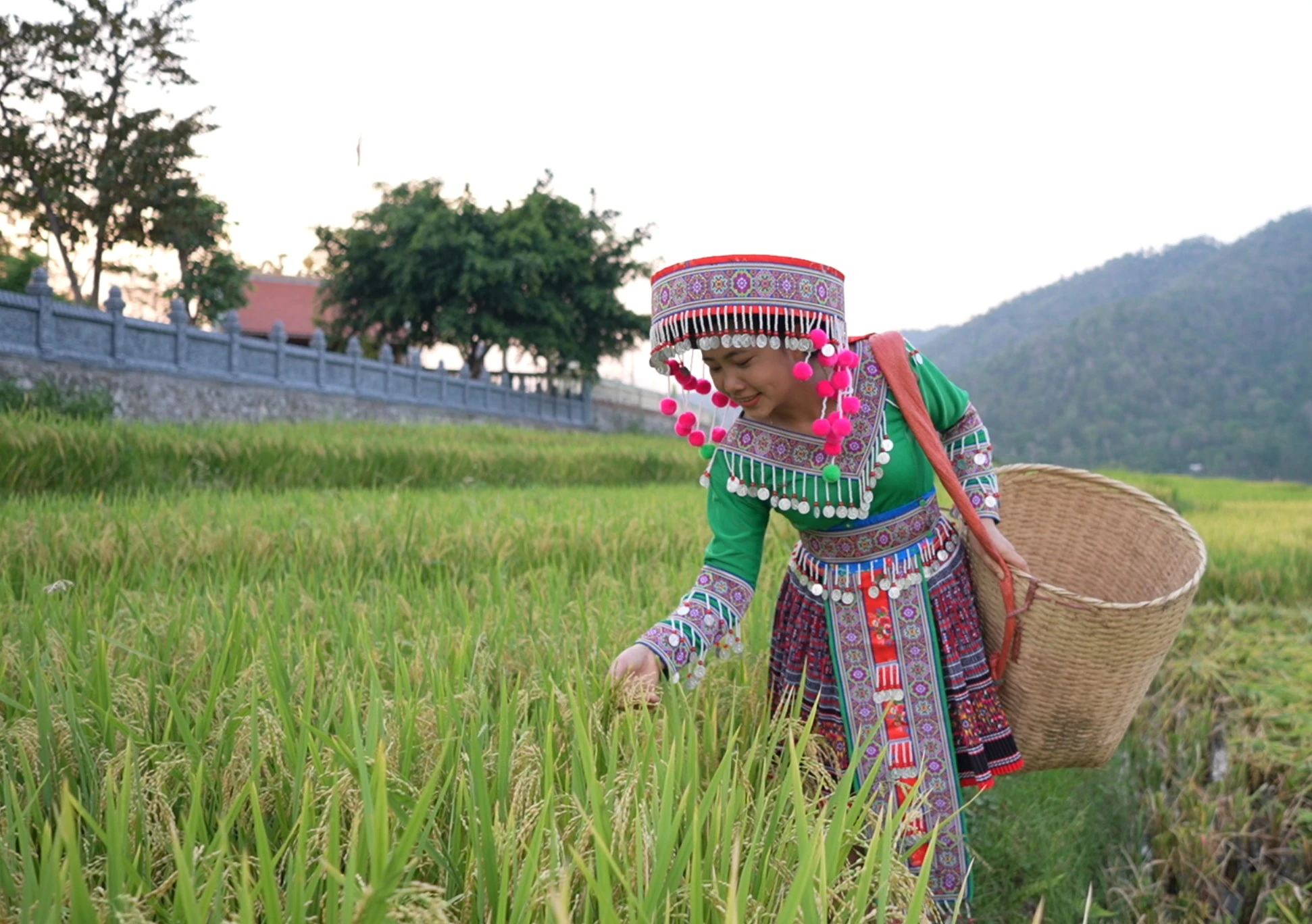“Nhớ về rừng núi nhớ chơi vơi”