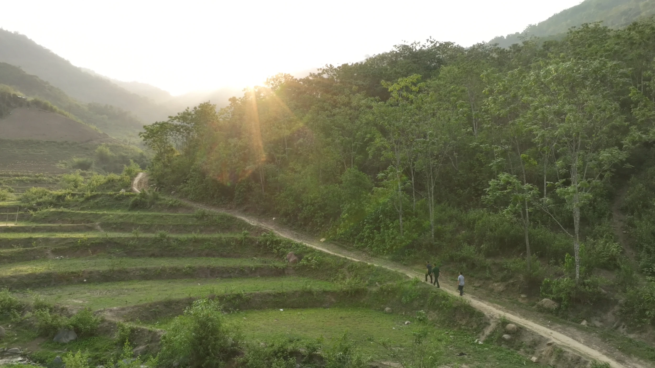 “Nhớ về rừng núi nhớ chơi vơi”