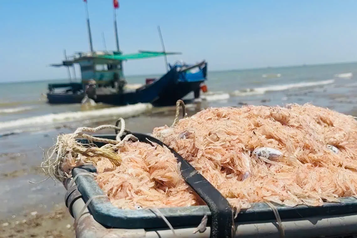 Nhịp thở làng chài trong dòng chảy đương đại