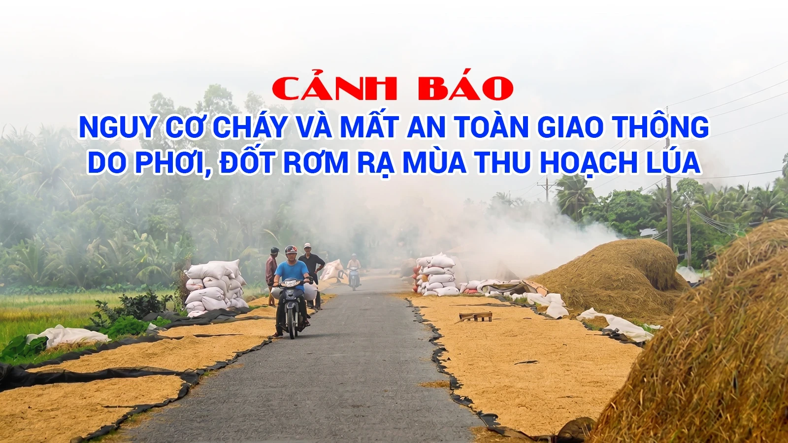 Cảnh báo nguy cơ cháy và mất an toàn giao thông do phơi, đốt rơm rạ mùa thu hoạch lúa