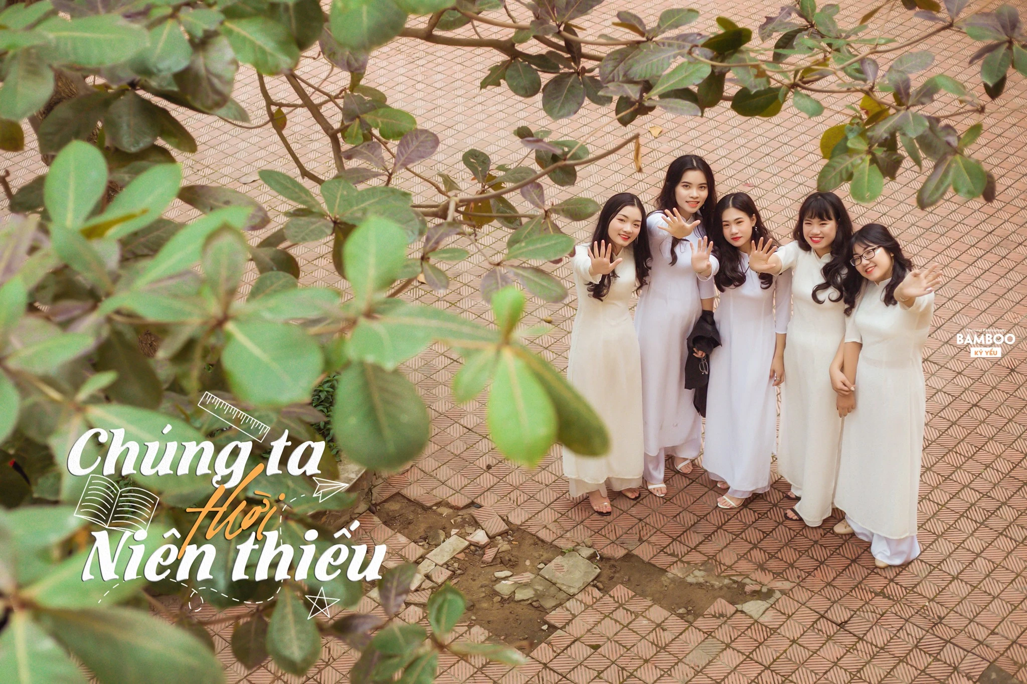 Những “chỉ dấu” gợi nhớ mùa hoa học trò (Bài 1): Cây bàng – “Lính gác” của tuổi thơ