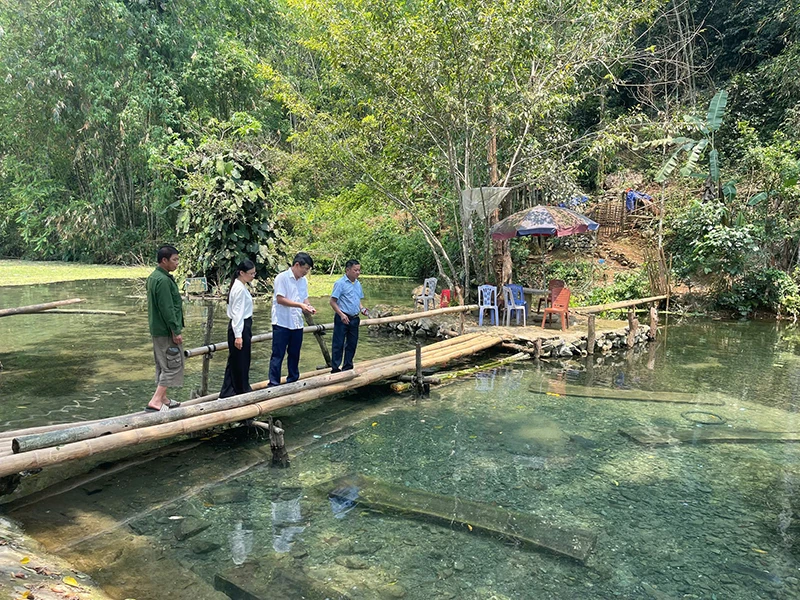 Nuôi cá dốc ở Bá Thước