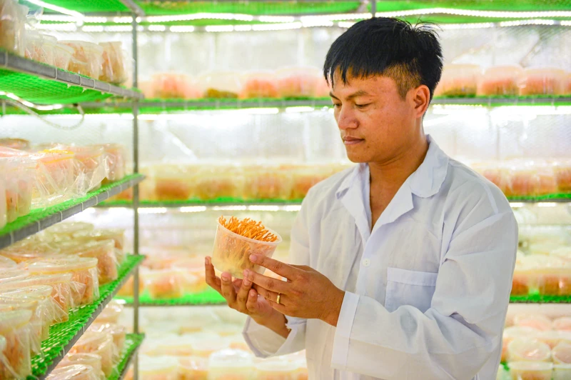 Từ căn phòng lạnh, người đàn ông gây dựng 7 sản phẩm OCOP