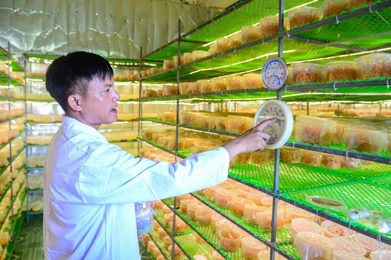 Từ căn phòng lạnh, người đàn ông gây dựng 7 sản phẩm OCOP